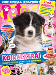 Pets Yllätyspussi 01/21