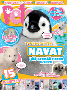 Pets Yllätyspussi 01/23