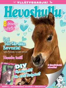 Hevoshullu Yllätyspussi 01/24