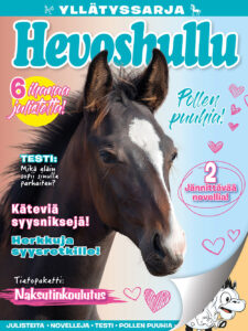 Hevoshullu Yllätyspussi 02/24