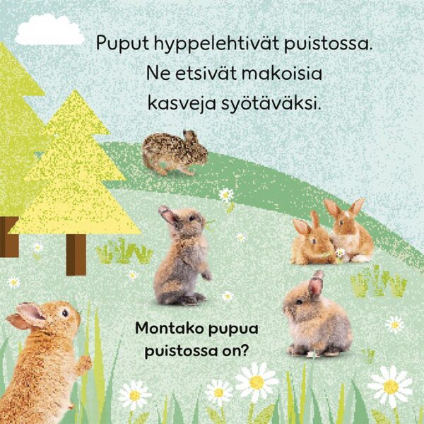 Käsin kosketeltavaa: Eläinlapsia - Image 2