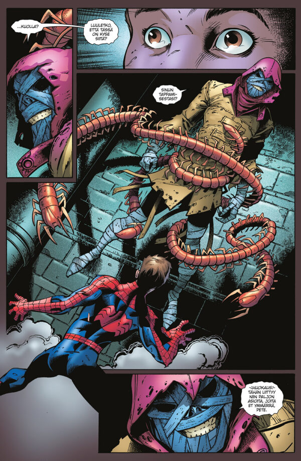 Spider-Man - Image 2