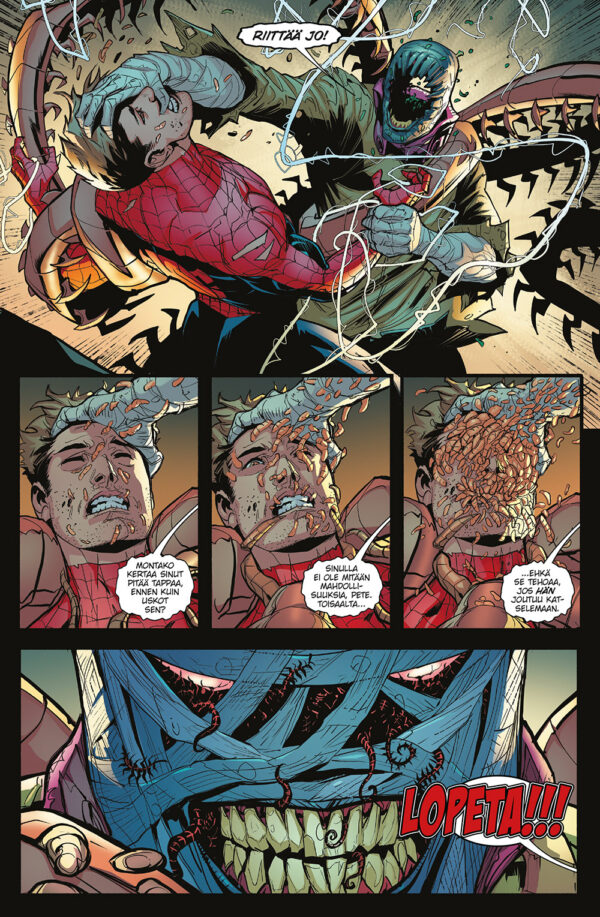 Spider-Man - Image 3
