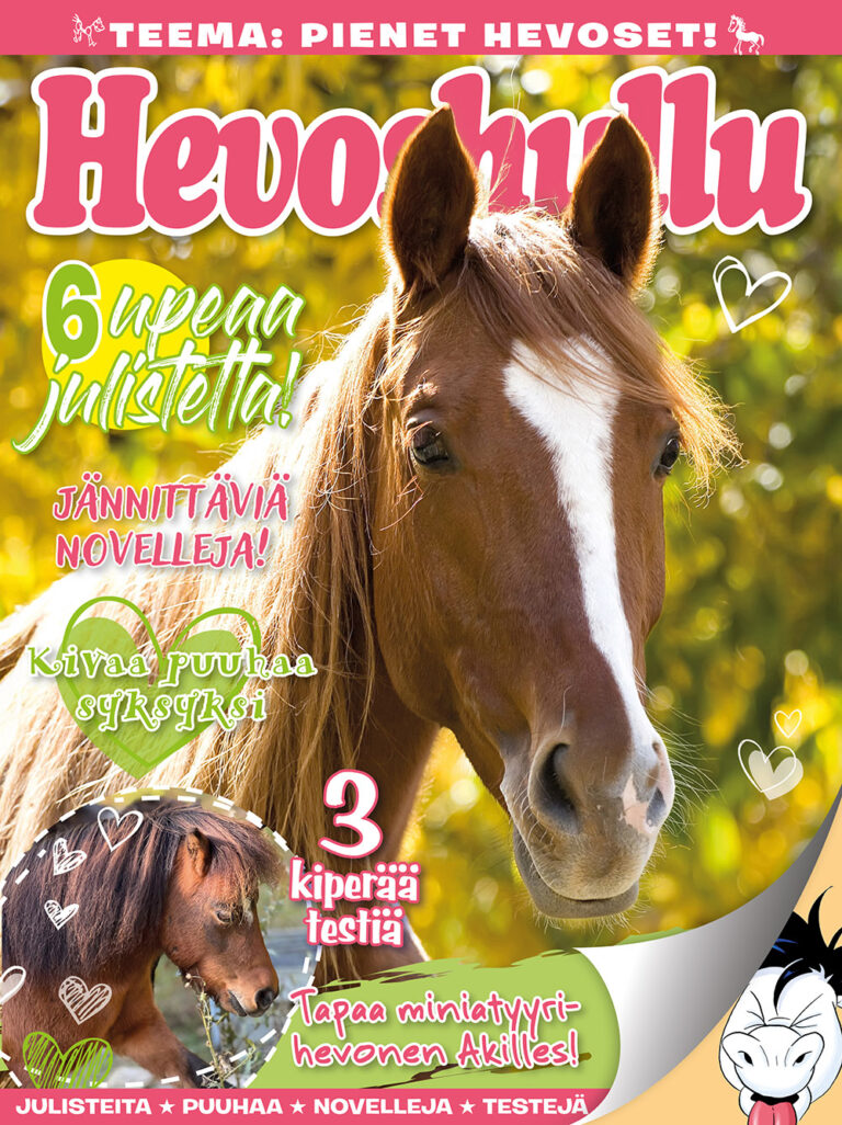 Hevoshullu Puuhapussi 02-2025