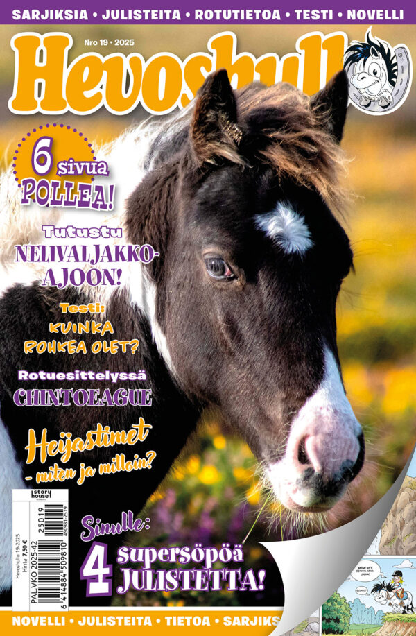 Hevoshullu