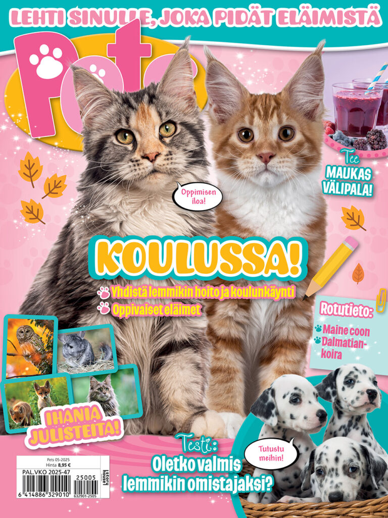 Pets 05-2025