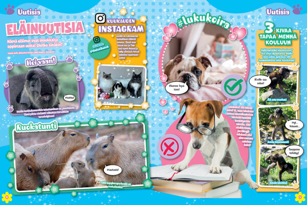 Pets - Image 2