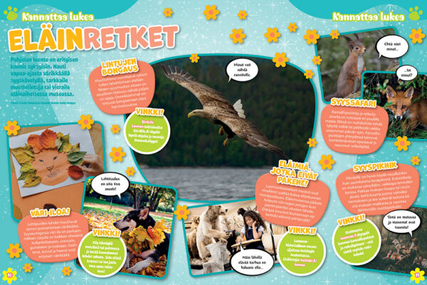 Pets - Image 3