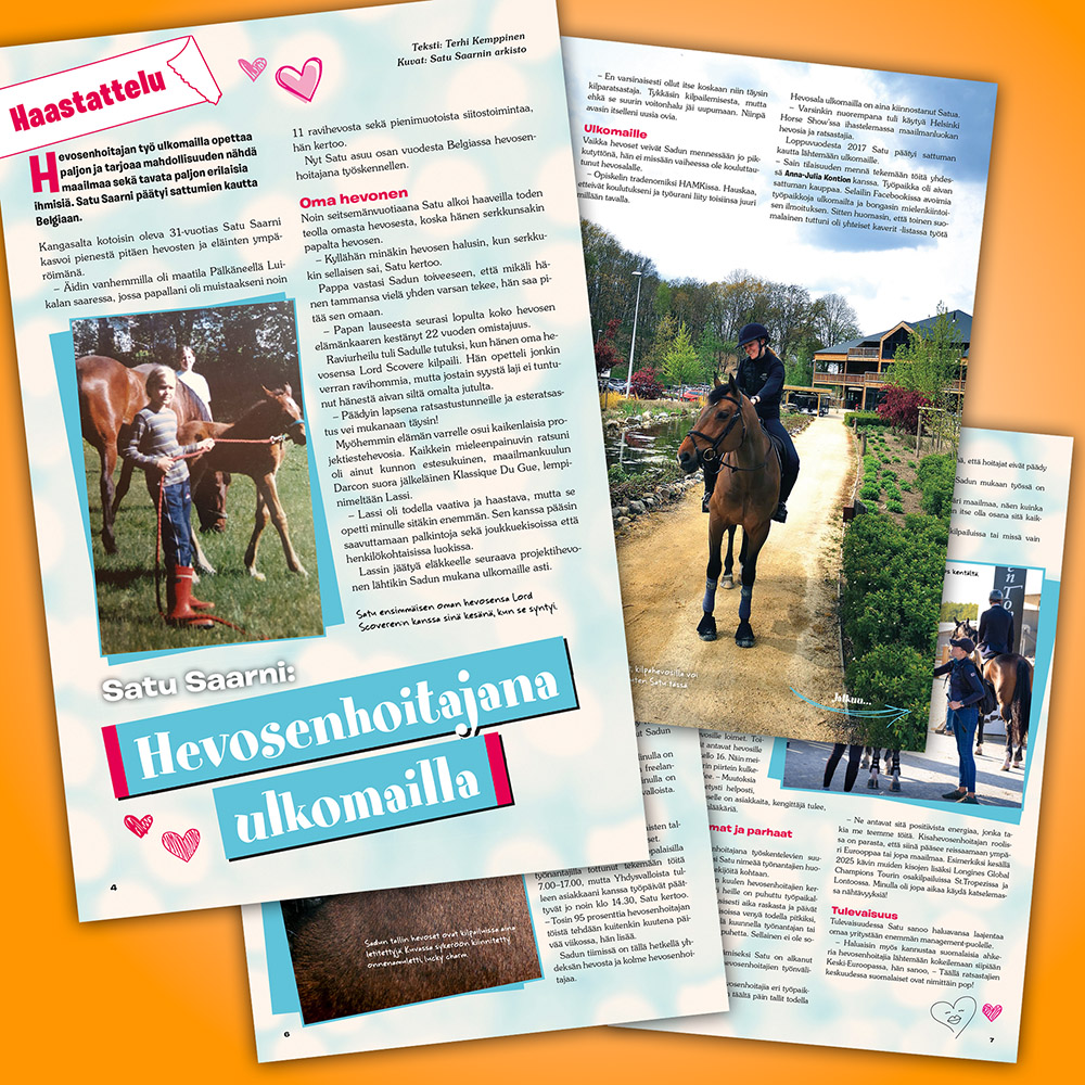 Hevoshullu - Image 3