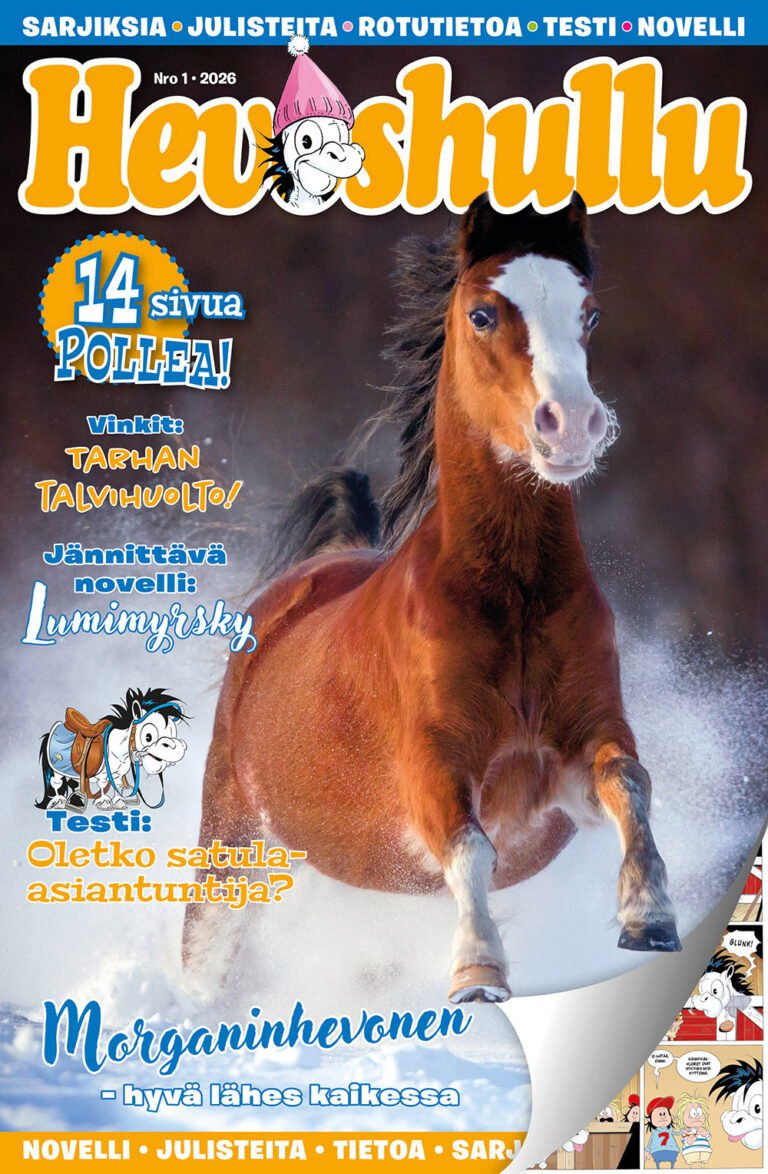 Hevoshullu 01-2026 (vain tilaajille)