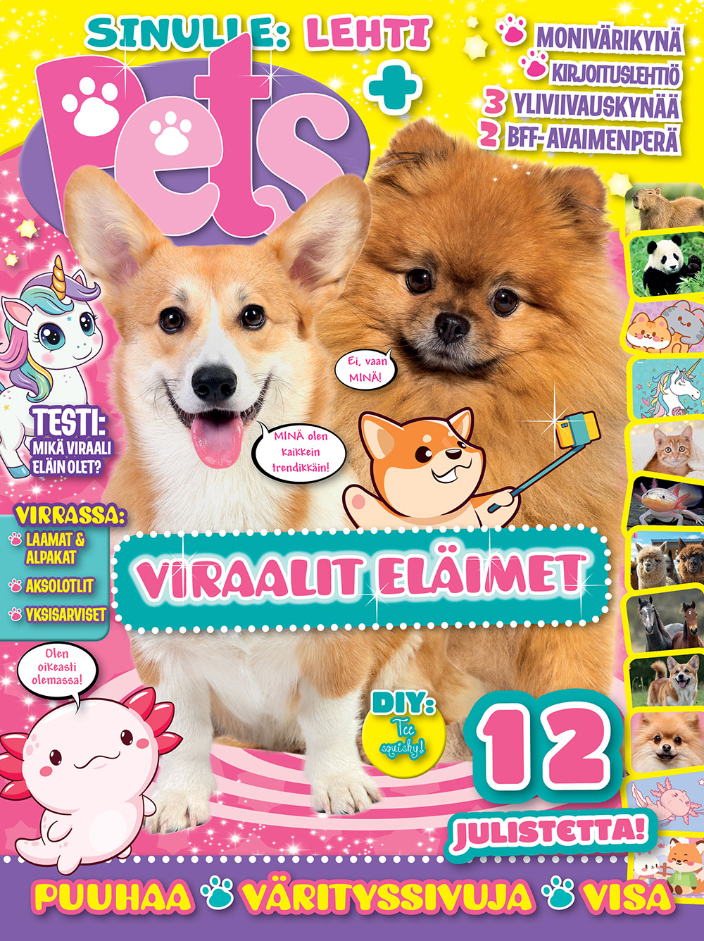 Pets Yllätyspussi 01/26