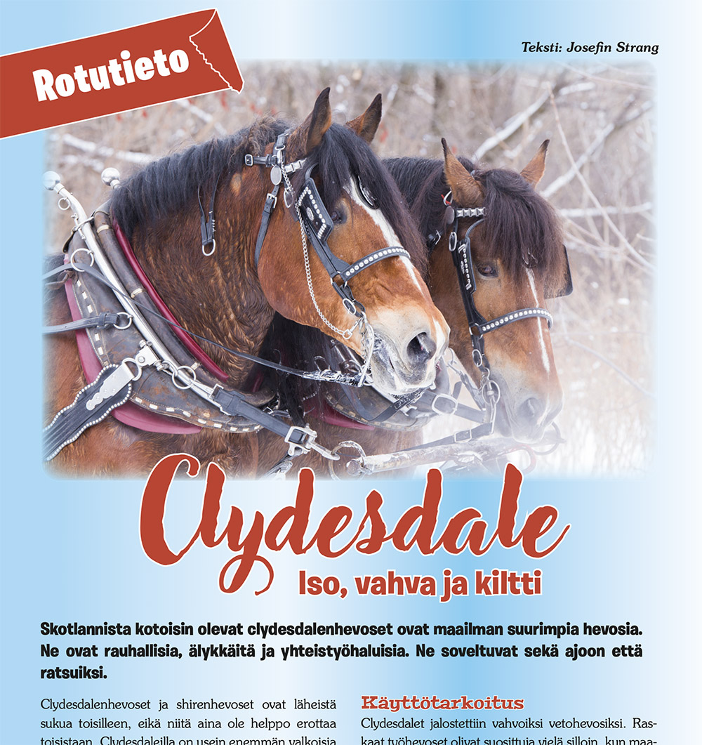 Hevoshullu - Image 2