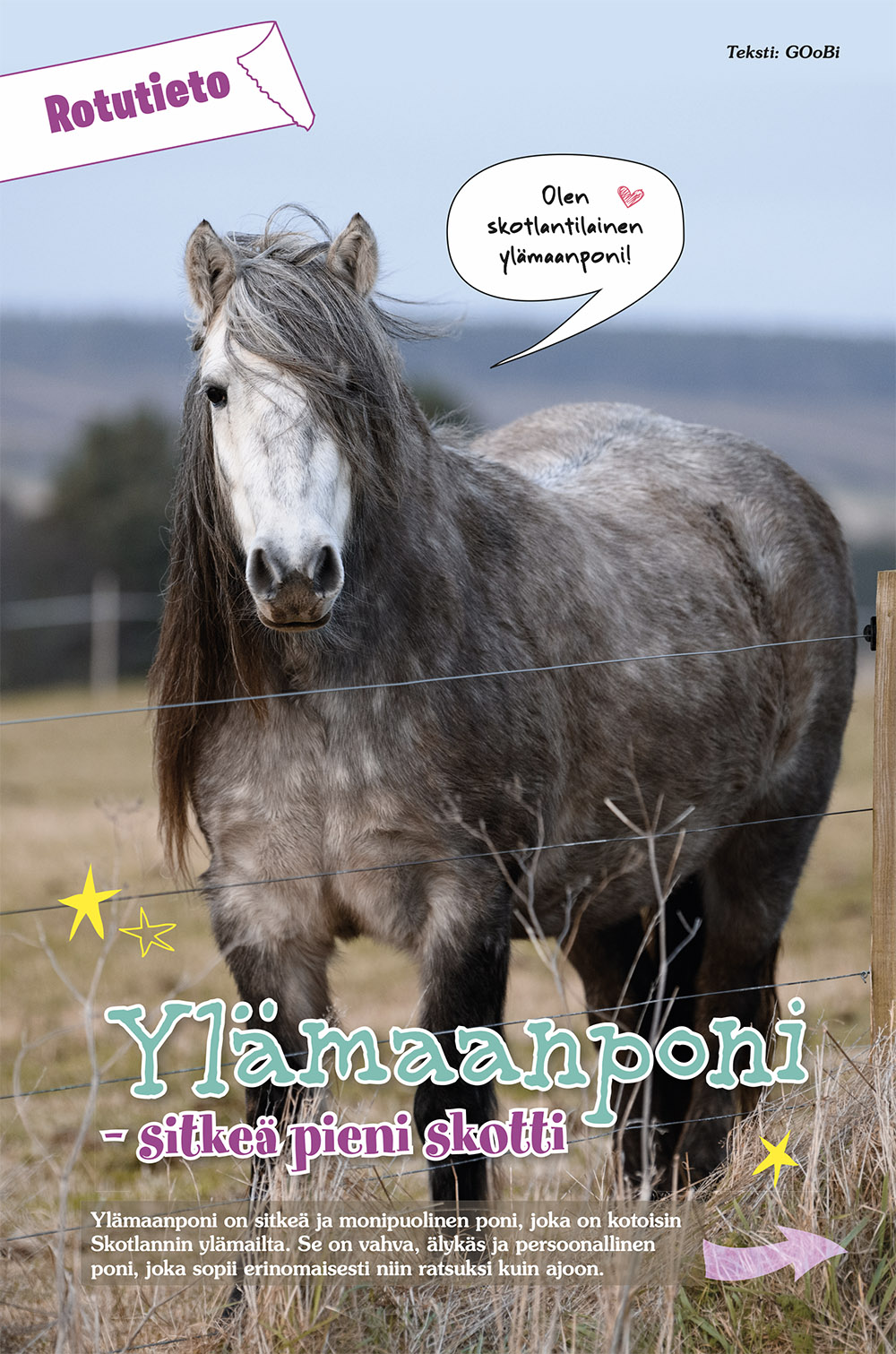 Hevoshullu - Image 2