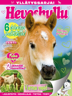 Hevoshullu Yllätyspussi 01/26