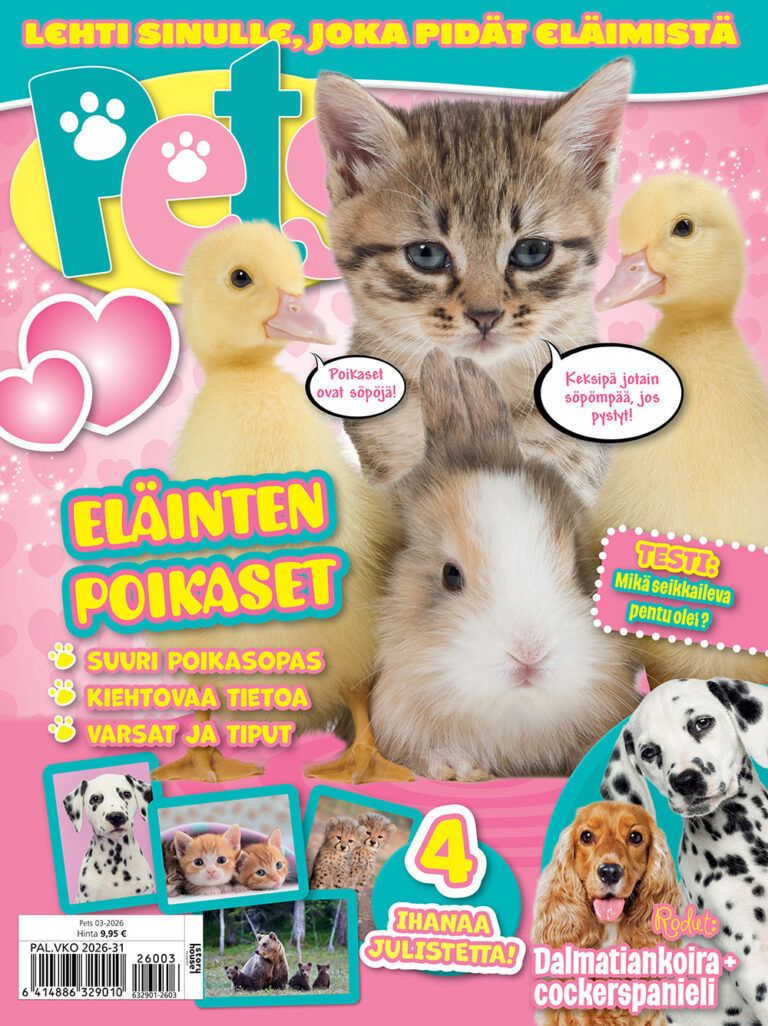 Pets 03-2026