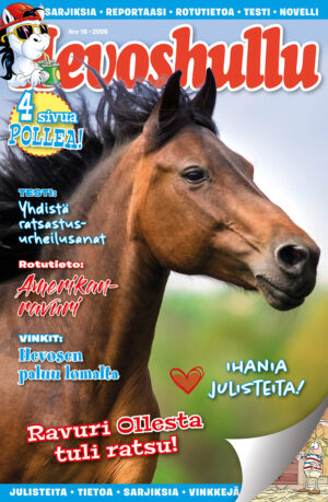 Hevoshullu 16-2026 kansi