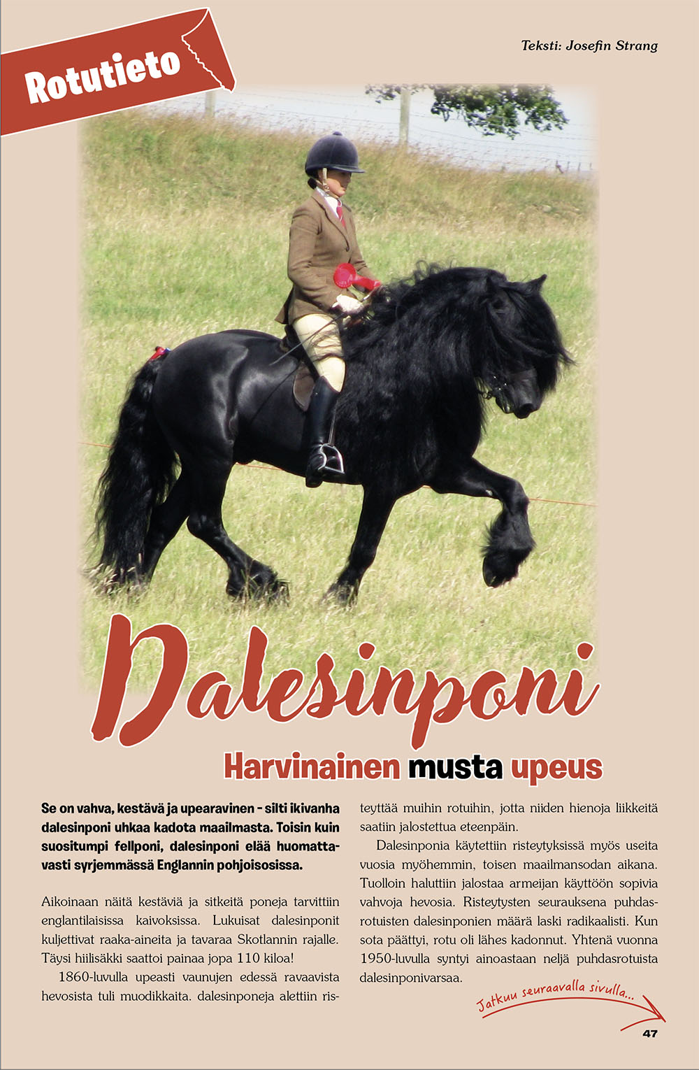 Hevoshullu 20-2026 lisakuva 2